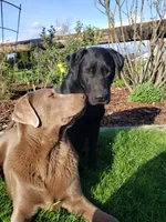 processed/1462e58c-da01-4199-962a-76e73569559b/facility/7ffa908b-23df-449e-86c6-54ff6a630f88