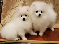 processed/1462e58c-da01-4199-962a-76e73569559b/facility/aa387241-93d9-4f90-aa48-edffc5bccd2a