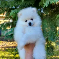 processed/1462e58c-da01-4199-962a-76e73569559b/facility/af168ee9-b71b-4697-aeef-75e4dc5f2435