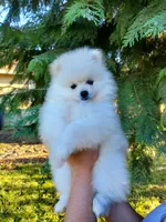 processed/1462e58c-da01-4199-962a-76e73569559b/facility/af168ee9-b71b-4697-aeef-75e4dc5f2435