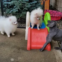 processed/1462e58c-da01-4199-962a-76e73569559b/facility/c185c293-96fa-403f-bf58-4266cf11aafc