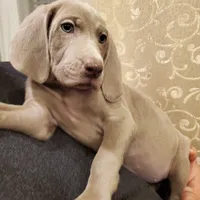 processed/1462e58c-da01-4199-962a-76e73569559b/facility/c437cd49-ea6a-40d0-be16-3c9f628f9c7c