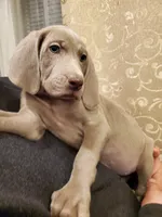 processed/1462e58c-da01-4199-962a-76e73569559b/facility/c437cd49-ea6a-40d0-be16-3c9f628f9c7c