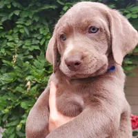 processed/1462e58c-da01-4199-962a-76e73569559b/facility/dc3bb171-6e94-43dd-a02a-4d15d6a04438