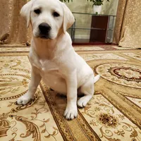 processed/1462e58c-da01-4199-962a-76e73569559b/facility/e3cd5bdb-c466-4598-8317-b327dea5a4dc