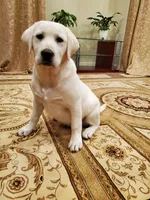 processed/1462e58c-da01-4199-962a-76e73569559b/facility/e3cd5bdb-c466-4598-8317-b327dea5a4dc