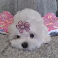 processed/1463d4f0-4233-4a3e-8542-cb85dfcf6a0e/facility/02399920-b9cb-4d92-a17b-1ff24628c13d