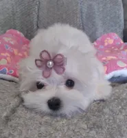 processed/1463d4f0-4233-4a3e-8542-cb85dfcf6a0e/facility/02399920-b9cb-4d92-a17b-1ff24628c13d