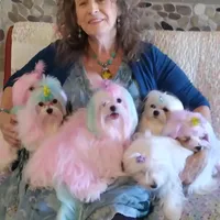 processed/1463d4f0-4233-4a3e-8542-cb85dfcf6a0e/facility/0d9d4405-0e3a-4e6e-8643-5c857b3dd24d