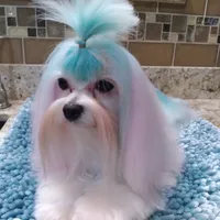 processed/1463d4f0-4233-4a3e-8542-cb85dfcf6a0e/facility/1746bd6f-ab5b-4643-8fb5-13c75f00038f