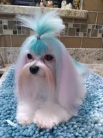 processed/1463d4f0-4233-4a3e-8542-cb85dfcf6a0e/facility/1746bd6f-ab5b-4643-8fb5-13c75f00038f