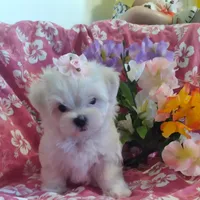 processed/1463d4f0-4233-4a3e-8542-cb85dfcf6a0e/facility/320b9432-4939-4769-8909-1690136b0b35