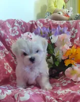 processed/1463d4f0-4233-4a3e-8542-cb85dfcf6a0e/facility/320b9432-4939-4769-8909-1690136b0b35