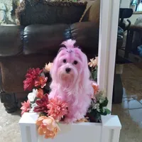 processed/1463d4f0-4233-4a3e-8542-cb85dfcf6a0e/facility/4ed7f802-001e-4dc9-91c6-0409ca762fd4