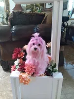 processed/1463d4f0-4233-4a3e-8542-cb85dfcf6a0e/facility/4ed7f802-001e-4dc9-91c6-0409ca762fd4