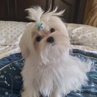 processed/1463d4f0-4233-4a3e-8542-cb85dfcf6a0e/facility/6f37b46c-8e54-4e46-bd92-bbc2999c563e