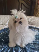 processed/1463d4f0-4233-4a3e-8542-cb85dfcf6a0e/facility/6f37b46c-8e54-4e46-bd92-bbc2999c563e