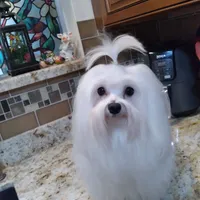 processed/1463d4f0-4233-4a3e-8542-cb85dfcf6a0e/facility/bd8259fb-b9ed-4f88-a517-aebebbc81bda