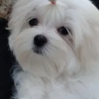 processed/1463d4f0-4233-4a3e-8542-cb85dfcf6a0e/facility/c4c8fb99-4fb4-483b-ac1c-c0741cc58ac0