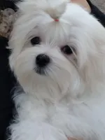 processed/1463d4f0-4233-4a3e-8542-cb85dfcf6a0e/facility/c4c8fb99-4fb4-483b-ac1c-c0741cc58ac0