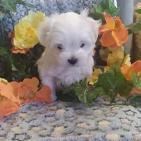 processed/1463d4f0-4233-4a3e-8542-cb85dfcf6a0e/facility/c5105639-e42a-417c-9a77-ad0404ab135e