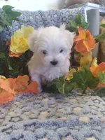 processed/1463d4f0-4233-4a3e-8542-cb85dfcf6a0e/facility/c5105639-e42a-417c-9a77-ad0404ab135e