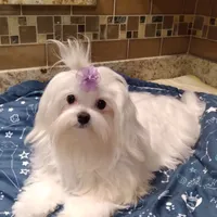 processed/1463d4f0-4233-4a3e-8542-cb85dfcf6a0e/facility/e49cae79-a9a3-49c3-b79f-394415181a0e