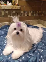 processed/1463d4f0-4233-4a3e-8542-cb85dfcf6a0e/facility/e49cae79-a9a3-49c3-b79f-394415181a0e