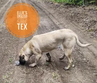 processed/14663cad-f23e-4245-ac2f-98fb4db8804a/listing/4ac6ed7a-5244-4582-bf10-059a7d35116b/4434ef41-933a-42a7-b988-77d453fd7436