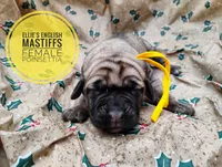 processed/14663cad-f23e-4245-ac2f-98fb4db8804a/listing/4ac6ed7a-5244-4582-bf10-059a7d35116b/6587243f-ad53-4448-aa0c-5abf1656049f