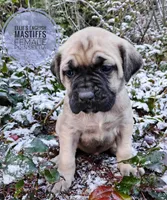 processed/14663cad-f23e-4245-ac2f-98fb4db8804a/listing/4ac6ed7a-5244-4582-bf10-059a7d35116b/6602ded5-bd9b-4a03-9ac8-b97b17a97348