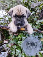 processed/14663cad-f23e-4245-ac2f-98fb4db8804a/listing/4ac6ed7a-5244-4582-bf10-059a7d35116b/fcfb1245-fc0e-46f1-a166-9b6505534431