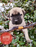 processed/14663cad-f23e-4245-ac2f-98fb4db8804a/listing/8ed25906-9619-43d7-9dcb-f8eb744e1c02/18156c84-9a15-4d99-878e-338aea805730