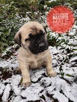 processed/14663cad-f23e-4245-ac2f-98fb4db8804a/listing/8ed25906-9619-43d7-9dcb-f8eb744e1c02/668232ae-da1f-477b-8c7c-5fcfbc39e973