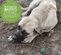 processed/14663cad-f23e-4245-ac2f-98fb4db8804a/listing/8ed25906-9619-43d7-9dcb-f8eb744e1c02/8a934421-9797-4ea0-9bed-71e2960122e8