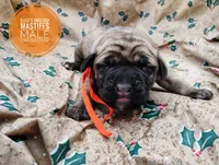 processed/14663cad-f23e-4245-ac2f-98fb4db8804a/listing/8ed25906-9619-43d7-9dcb-f8eb744e1c02/98e7cdd7-7730-41f2-b5fd-54d706f37cd4