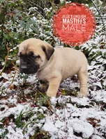 processed/14663cad-f23e-4245-ac2f-98fb4db8804a/listing/8ed25906-9619-43d7-9dcb-f8eb744e1c02/b19d93bc-7e73-40a0-8973-9298cf5738aa