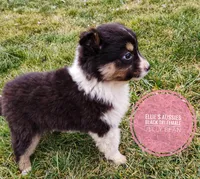 processed/14663cad-f23e-4245-ac2f-98fb4db8804a/listing/e422373e-8aae-4ccd-9142-59ab369931cb/2490090a-75b0-48da-b063-ab2583bc10e9