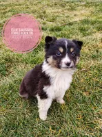 processed/14663cad-f23e-4245-ac2f-98fb4db8804a/listing/e422373e-8aae-4ccd-9142-59ab369931cb/4d931427-9667-4817-ae0a-ea44cf43af2c