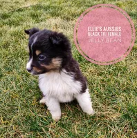 processed/14663cad-f23e-4245-ac2f-98fb4db8804a/listing/e422373e-8aae-4ccd-9142-59ab369931cb/789a8641-15a9-48d7-bd08-e981ab6c0c1c