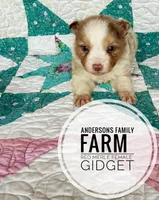 processed/14663cad-f23e-4245-ac2f-98fb4db8804a/listing/e42a972f-e249-459f-a1c4-4213e798d3c0/c64da19a-d447-47df-a2ed-71179fe4940e