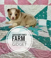 processed/14663cad-f23e-4245-ac2f-98fb4db8804a/listing/e42a972f-e249-459f-a1c4-4213e798d3c0/d1bee03a-9e26-4c08-8b13-b6f0a3818f88