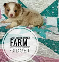 processed/14663cad-f23e-4245-ac2f-98fb4db8804a/listing/e42a972f-e249-459f-a1c4-4213e798d3c0/d6910a79-cfb1-45f4-8418-3626910a007b