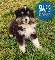 processed/14663cad-f23e-4245-ac2f-98fb4db8804a/listing/f28ed810-b65f-4106-9391-c54fda21c409/286c3d09-c9d2-4cd4-880a-cdaf71d0dba6