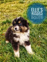 processed/14663cad-f23e-4245-ac2f-98fb4db8804a/listing/f28ed810-b65f-4106-9391-c54fda21c409/e286a12d-a811-40ab-8d70-c17fb44d34ea