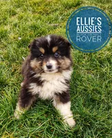 processed/14663cad-f23e-4245-ac2f-98fb4db8804a/listing/f28ed810-b65f-4106-9391-c54fda21c409/eedbfaad-4185-41cc-97d2-c0ce7f274985