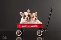 processed/146ba609-a33e-419b-b1bc-4bd9aaefe719/facility/152c844c-ffb1-4840-b99e-6850cbc92b84