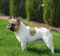 processed/146ba609-a33e-419b-b1bc-4bd9aaefe719/facility/40a7232d-aa23-4ab2-9d52-521abd3f7b25