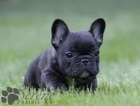 processed/146ba609-a33e-419b-b1bc-4bd9aaefe719/facility/5974eca7-d656-4ec6-a576-c955837e2d7d