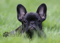 processed/146ba609-a33e-419b-b1bc-4bd9aaefe719/facility/87a1c393-8448-464c-b44d-37de8e9e3f65